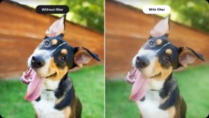 Insta360 Ace Pro 2 Black Mist Filter