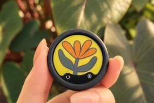 Ra mắt Insta360 Mic